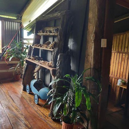 SierpeBarba Negra Adventure House别墅 外观 照片